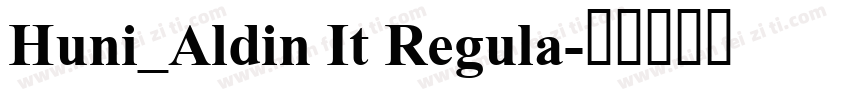 Huni_Aldin It Regula字体转换